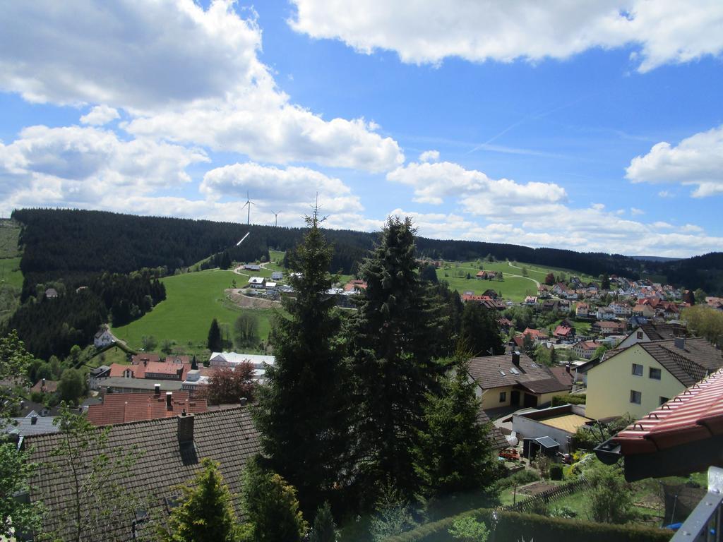 Grubstuben Hotel Schonach im Schwarzwald Exterior photo