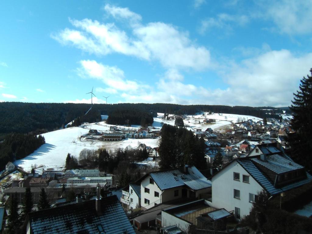 Grubstuben Hotel Schonach im Schwarzwald Exterior photo